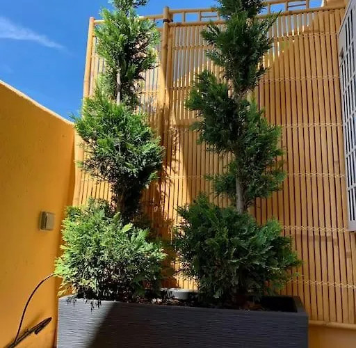 Apartamento 5* Serviced *