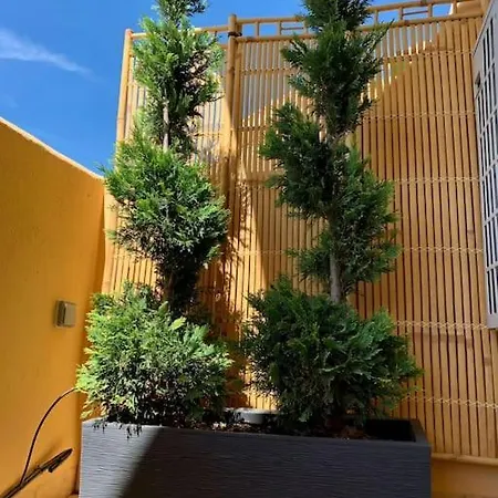 Apartment 5* Serviced *